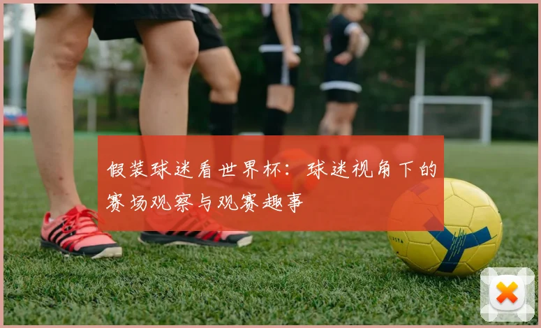 假装球迷看世界杯:球迷视角下的赛场观察与观赛趣事