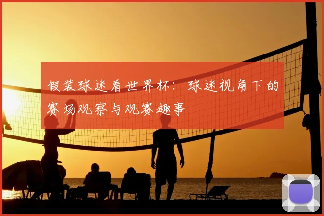 假装球迷看世界杯:球迷视角下的赛场观察与观赛趣事