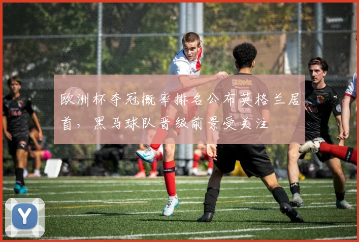 欧洲杯夺冠概率排名公布英格兰居首，黑马球队晋级前景受关注